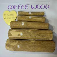 100% NATURAL COFFEE WOOD CHEW FOR DOG thumbnail image
