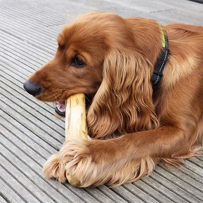 NATURAL COFFEE WOOD CHEW FOR DOG HIGH QUALITY AND COMPETITIVE PRICE