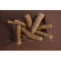 Coffee Wood Dog Chew / Wood chew dog toy made in Vietnam/ Mr. Cuong Vo +84 935 805 337 thumbnail image