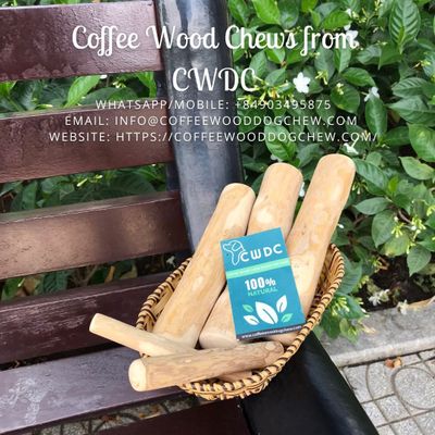 Coffee wood chew Tree Wood Chew Sticks for Dogs Coffee Tree Bone Chew Stick made in Viet Nam