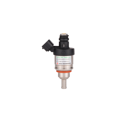 H2001 LPG/CNG Injector